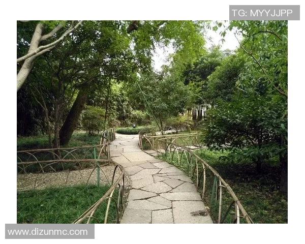 已婚足球明星背后的故事：家庭、事业与爱情的完美平衡